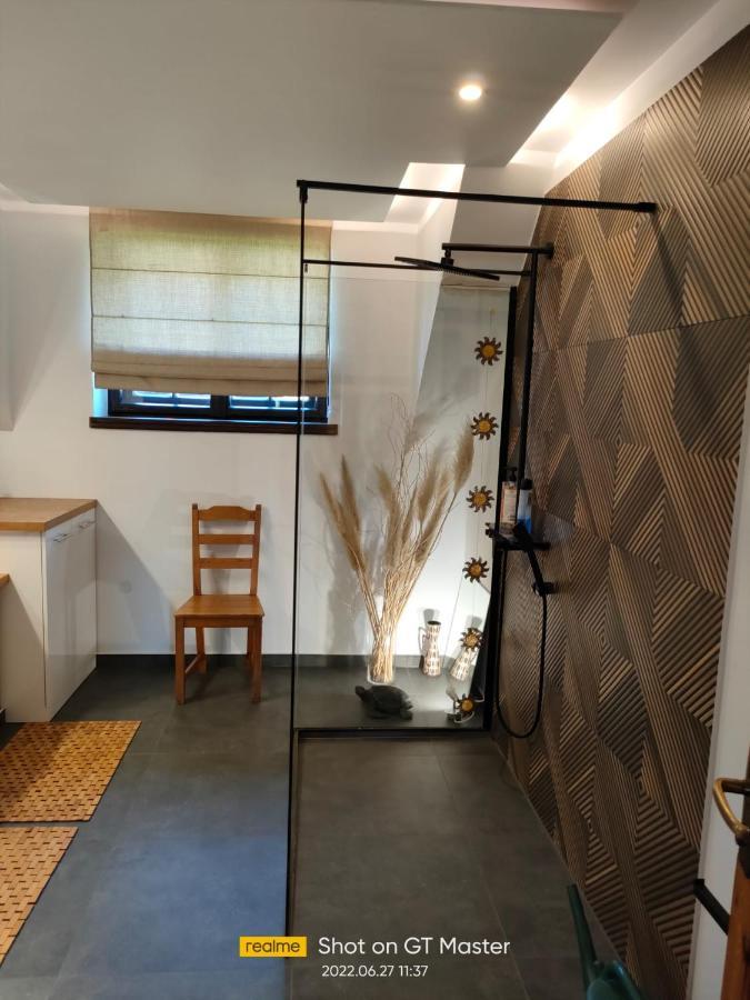 Apartament Forest Myslakowice Bagian luar foto
