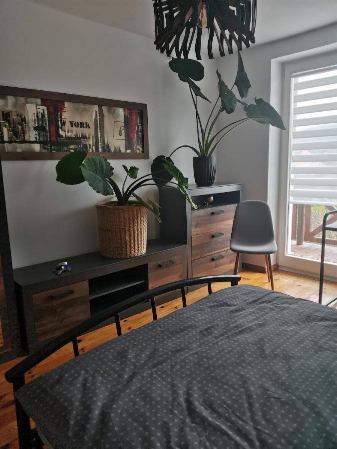 Apartament Forest Myslakowice Bagian luar foto