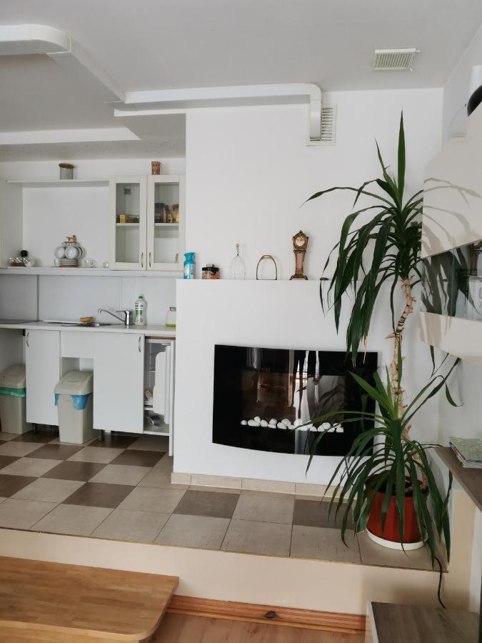 Apartament Forest Myslakowice Bagian luar foto