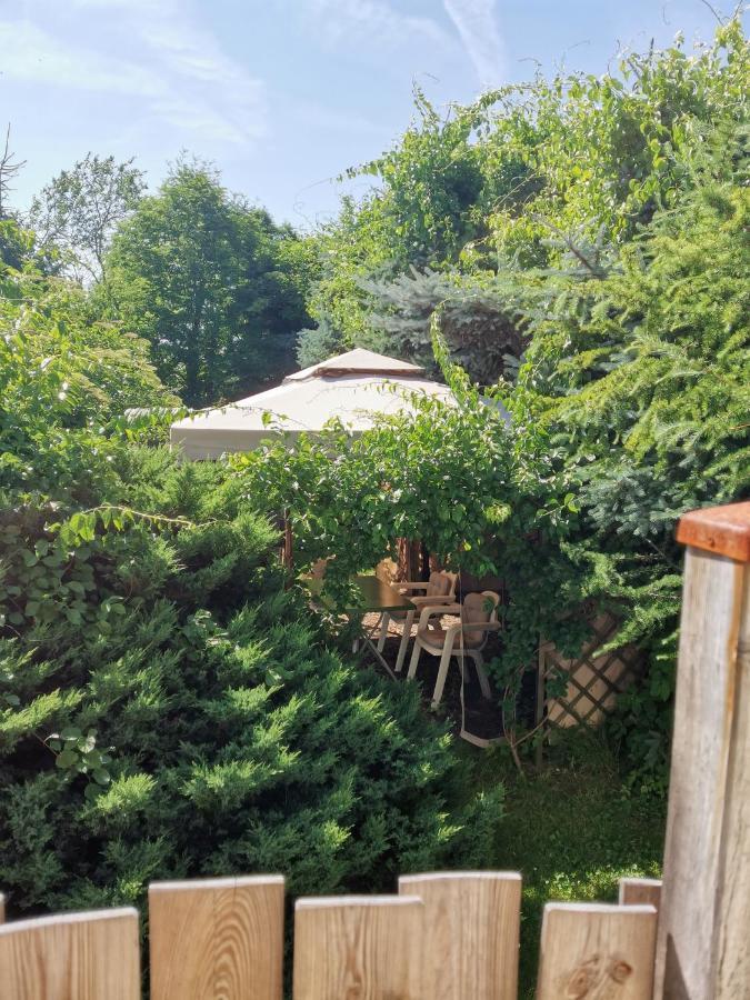 Apartament Forest Myslakowice Bagian luar foto