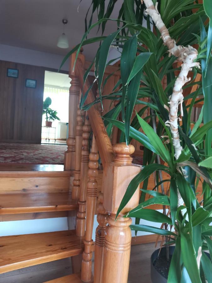 Apartament Forest Myslakowice Bagian luar foto